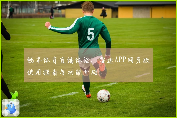 畅享体育直播体验：雷速APP网页版使用指南与功能介绍